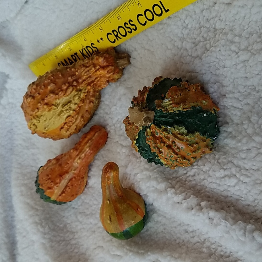 4 Gourds